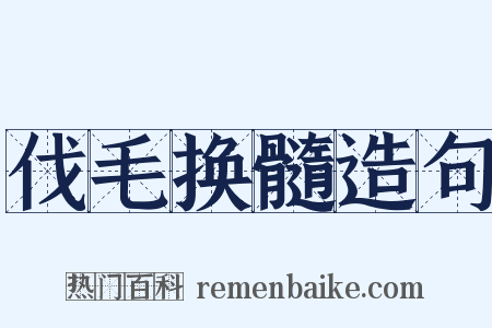 伐毛换髓造句是什么意思的图片